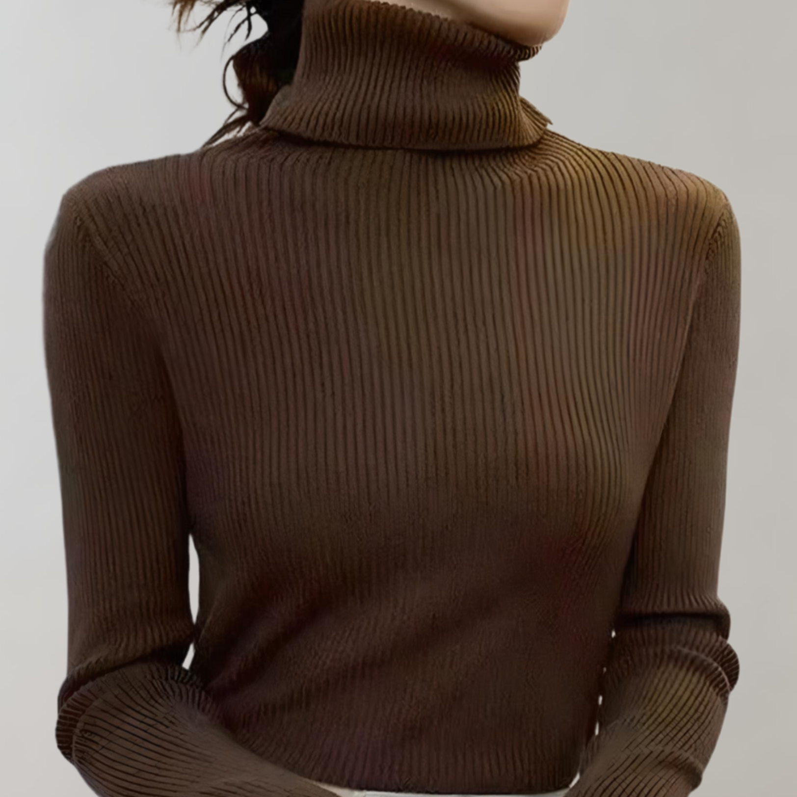 Danna - Schicker Herbst-Rollkragenpullover mit Rippmuster für Damen